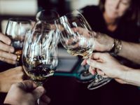 group of people having a wine toast